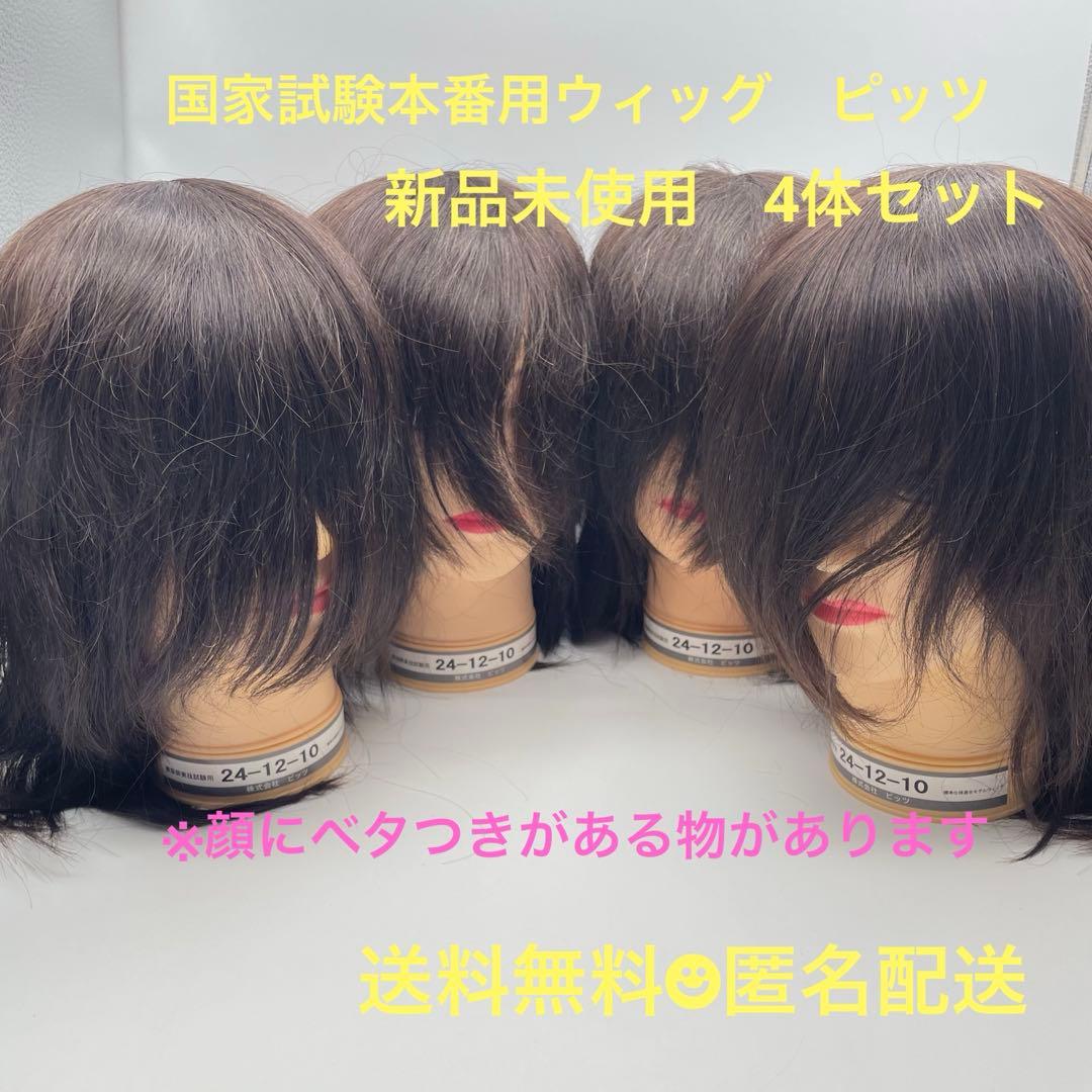 カットウィッグ　カットマネキン　美容師　国家試験　ピッツ