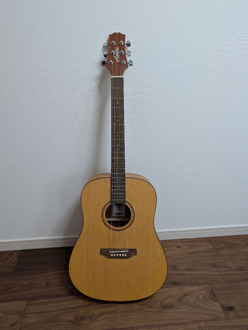 Ashton D20 アコースティックギター