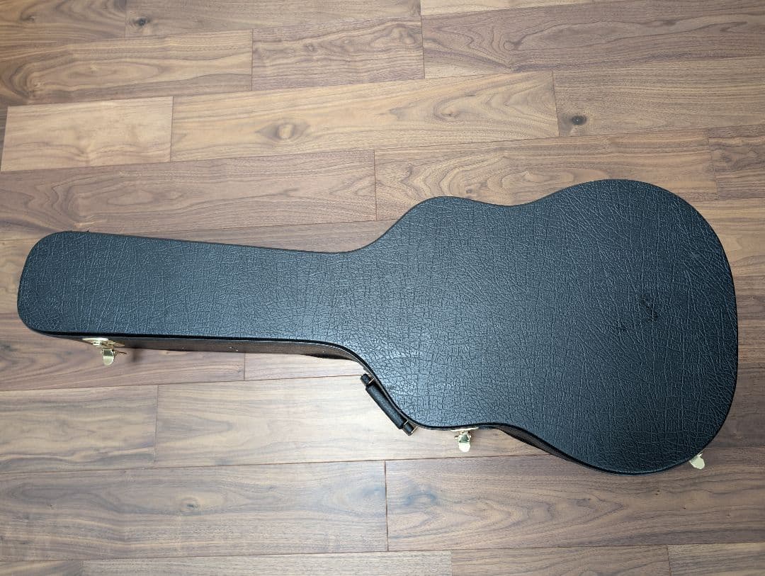 Ashton D20 アコースティックギター