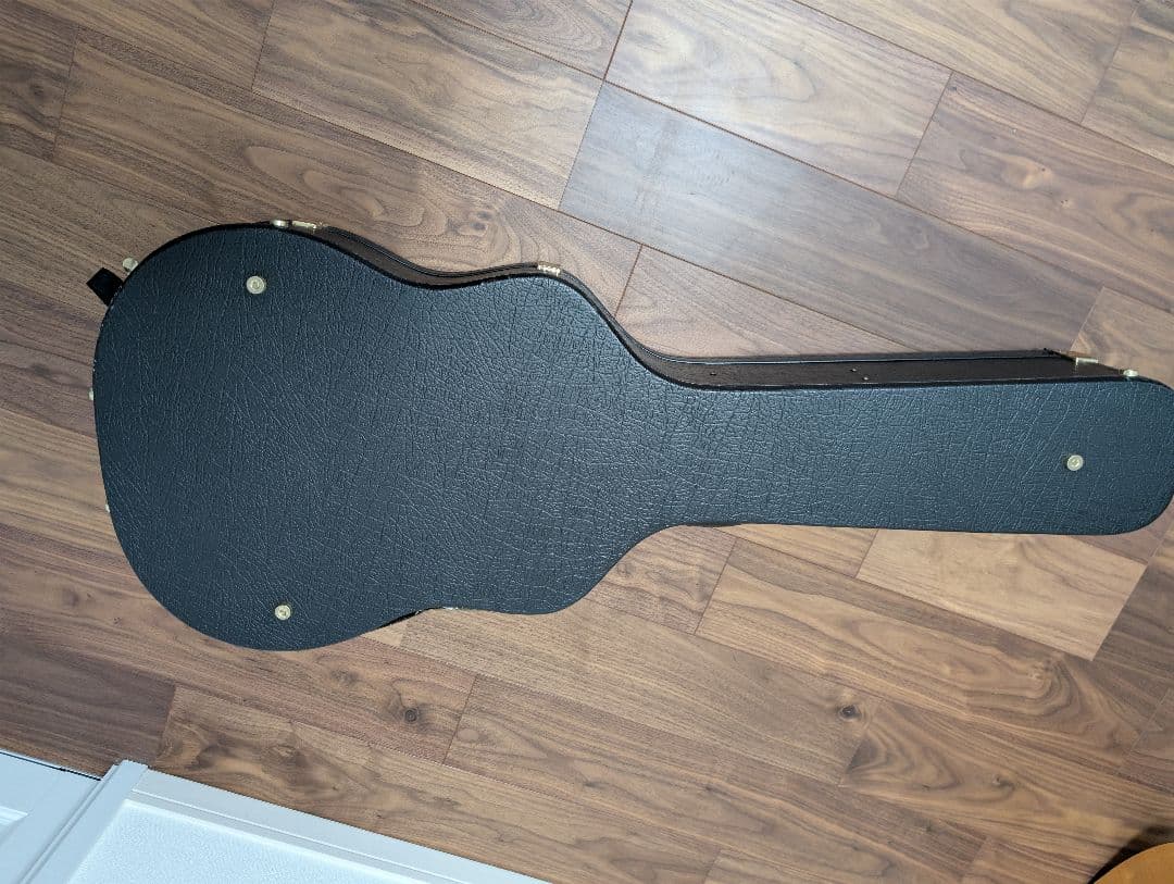 Ashton D20 アコースティックギター