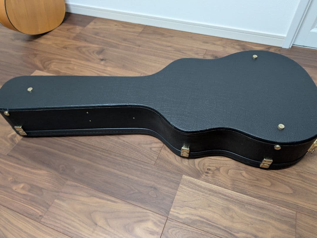 Ashton D20 アコースティックギター