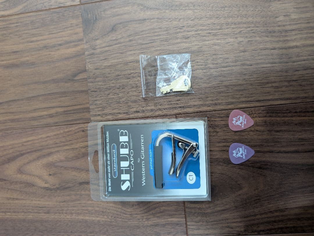 Ashton D20 アコースティックギター