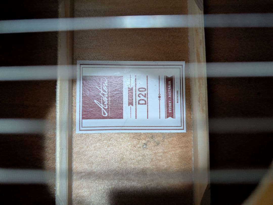 Ashton D20 アコースティックギター