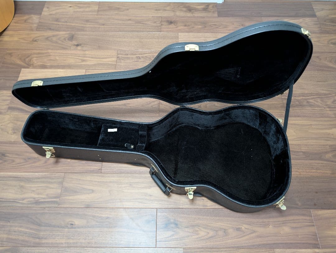 Ashton D20 アコースティックギター