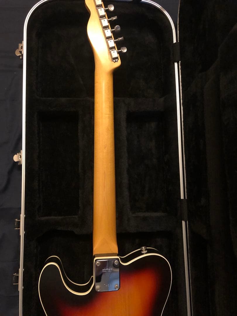 Vanzandt tlv-R2 ハードケース付き