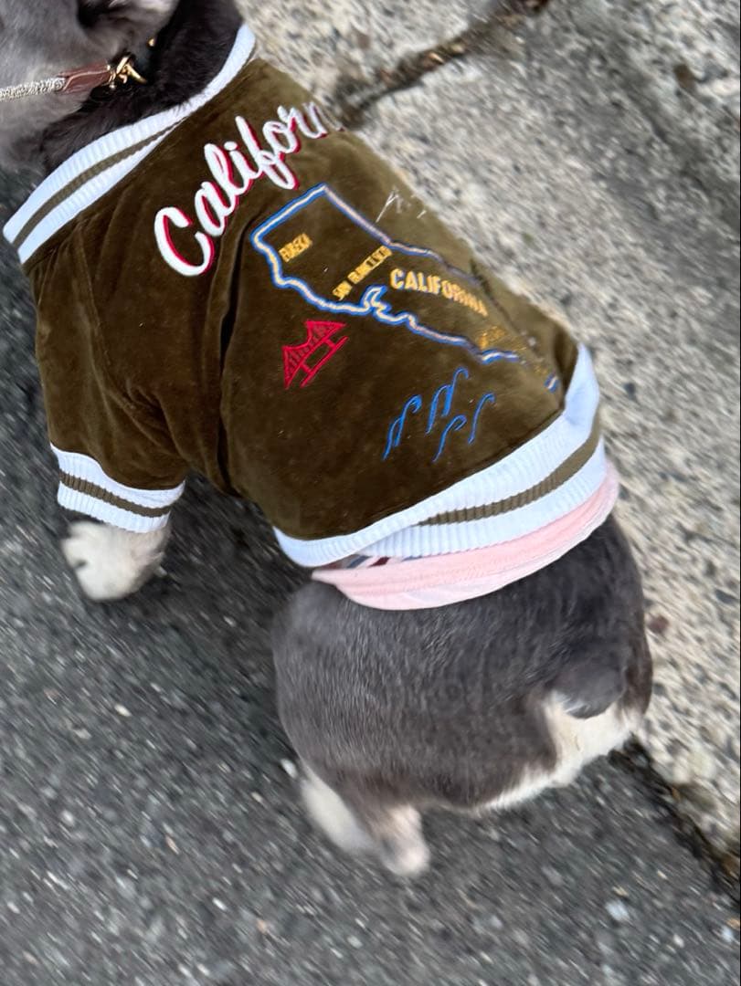 カリフォルニア刺繍犬服 Mサイズ 犬用スカジャン