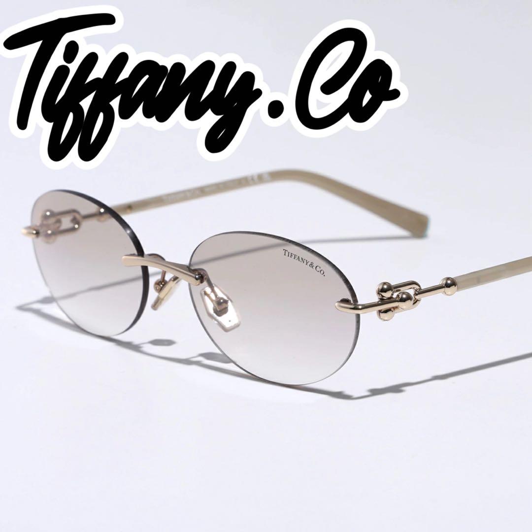 【定価5.9万】Tiffany&Co ティファニー サングラス ハードウェア