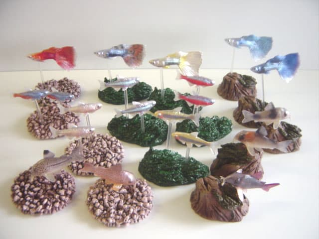 ★Gfg23GzデジタルグレードDG熱帯魚フルコンプ全15種