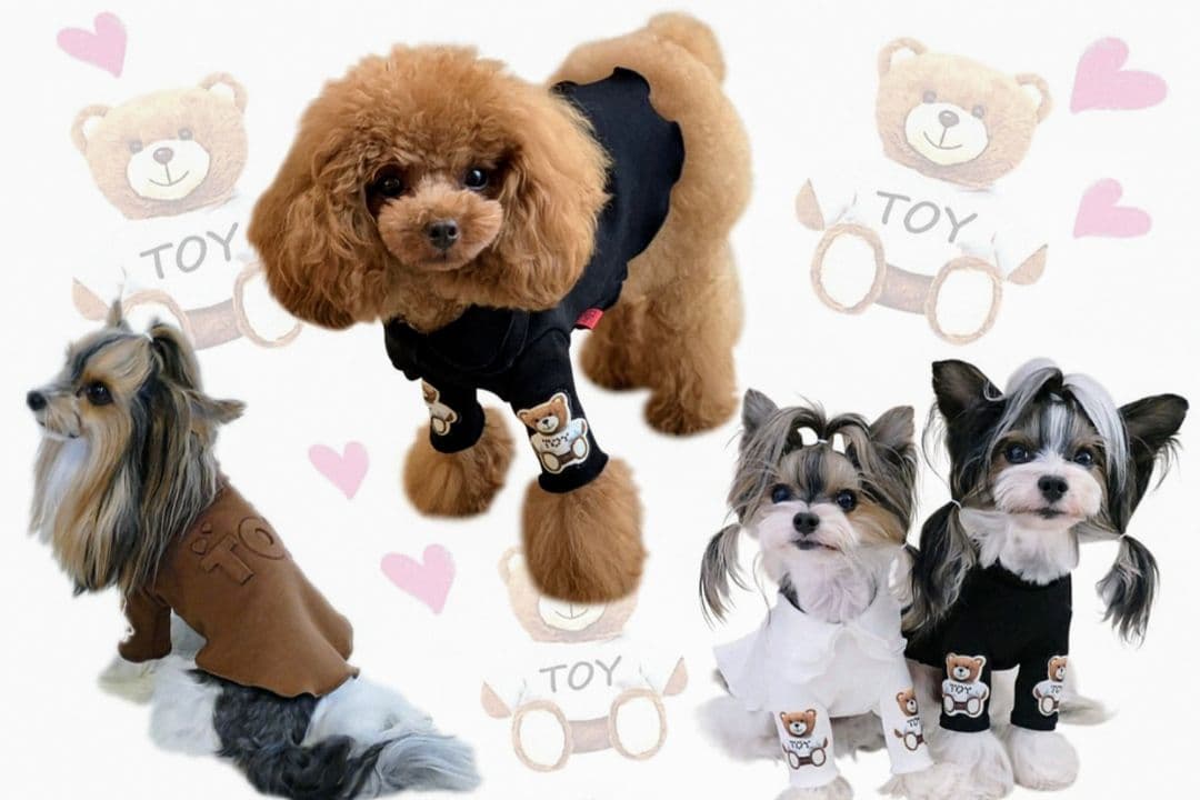 A　XS4点セット+クッション　サーカスサーカスCIRCUSCIRCUS