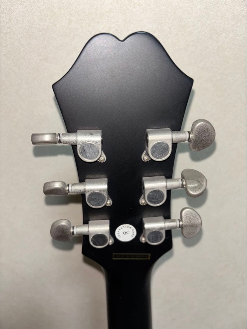 Epiphone エピフォン　エレアコギター　ソフトケース付き