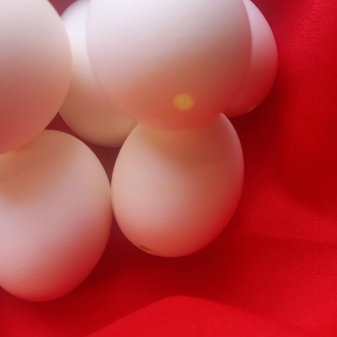 青森産　にわとりの白たまご殻L×120ケ