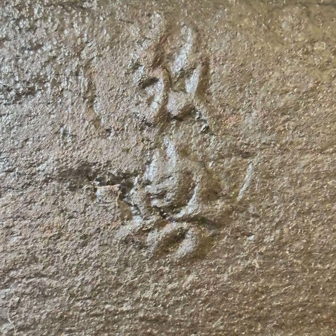 人間国宝敬典造 風炉 炉釜 電熱器 唐銅鬼面風炉釜 野々田電熱器 敷板 茶道具