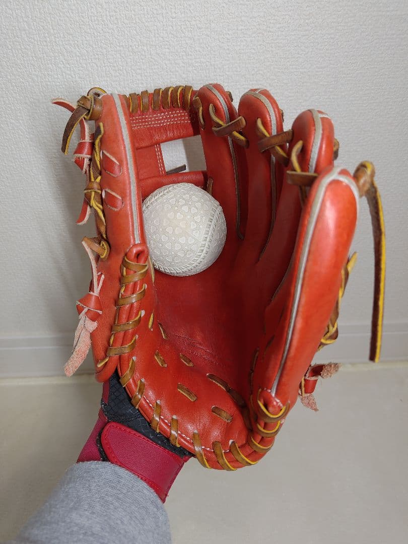 ipセレクト 専用グラブ袋付き Progress RB Collection