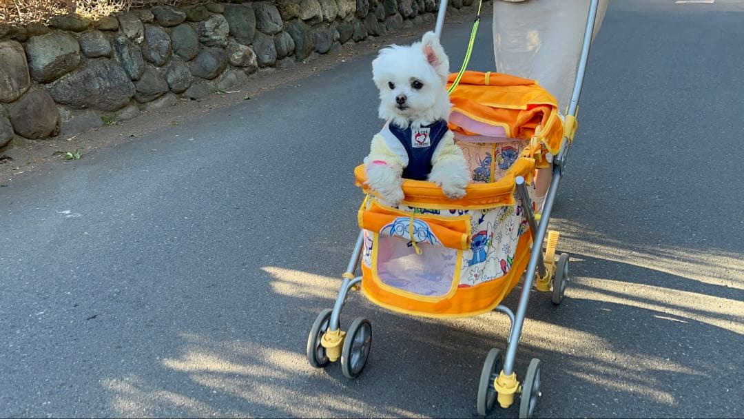 ペットカート　ベビーカー