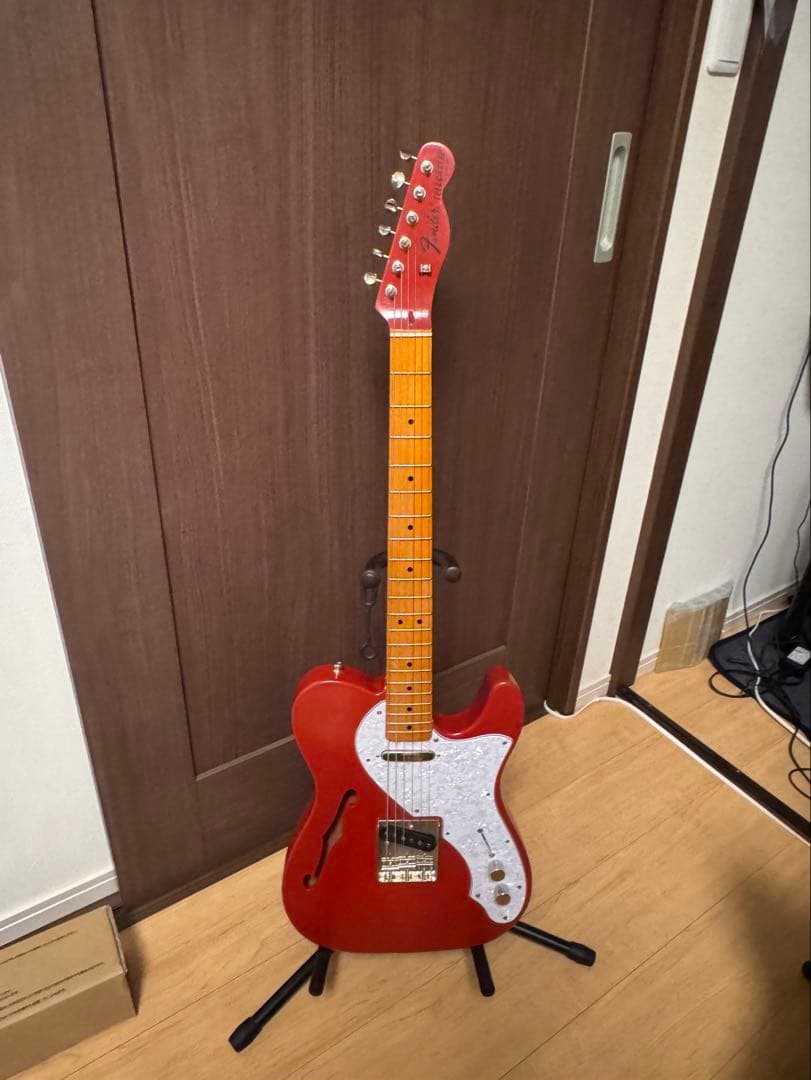 telecaster thinline テレキャスター ムツムロアキラカラー