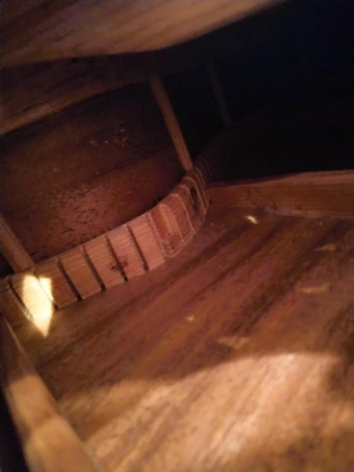 サ*ノ様 サムズ工房インレイカッタウエイギター　オール単板