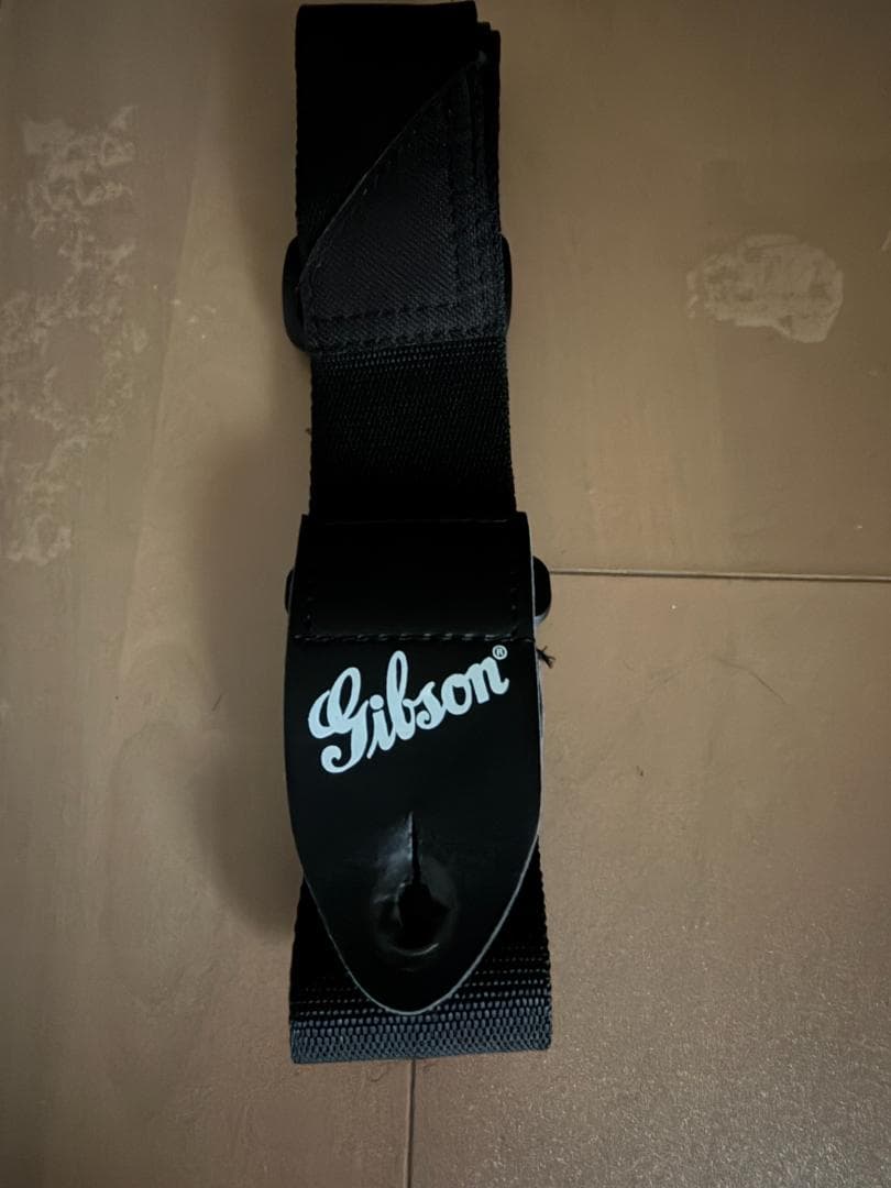 Gibson Les Paul Special 保証書・指板色剥がれ・純正ケース