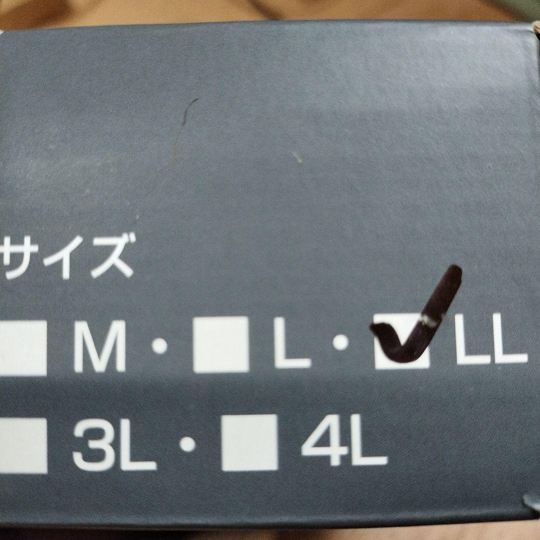 [NQG] 冷却ベスト 最新ペルチェ技術 プロ仕様冷却ベスト デュアル 0825