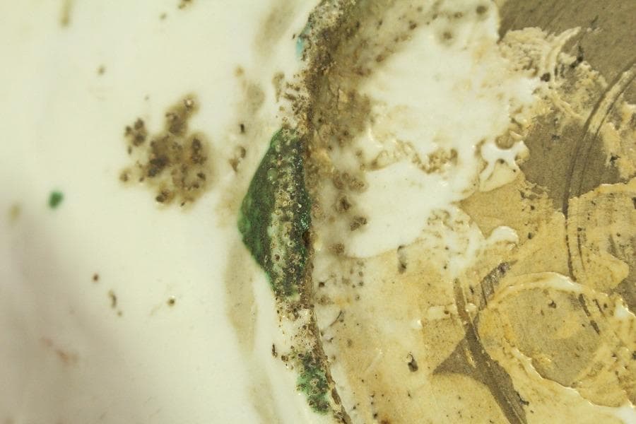 茶道具 唐物 呉須赤絵 鳳花紋 皿 φ25.5cm 中国美術(A928)