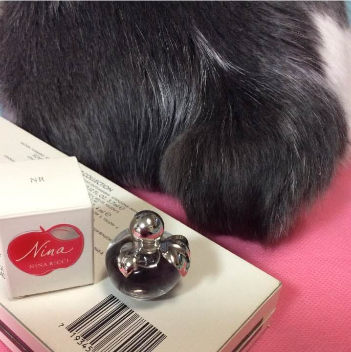 【お取り置き品】ニナリッチ ニナ ４ml