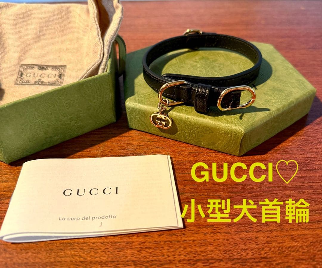 GUCCI 小型犬用首輪 ブラック