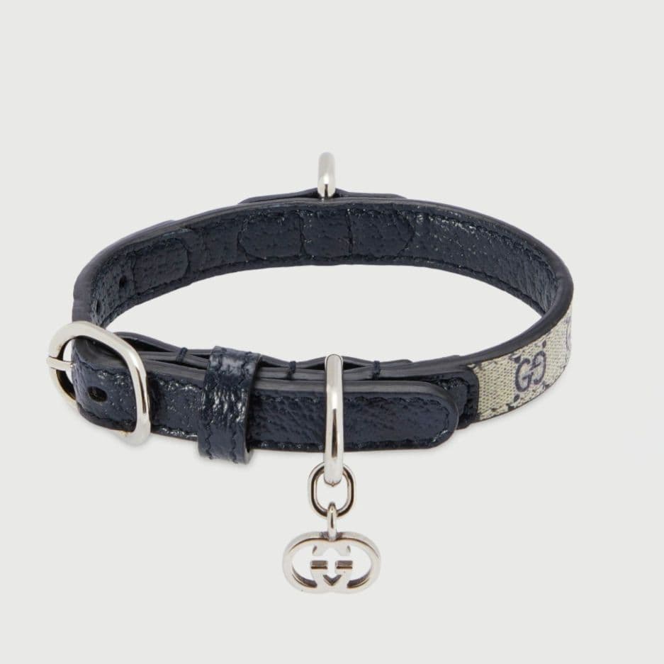 【未使用】GUCCI ワンちゃん 猫ちゃん用 首輪(カラー) XXS