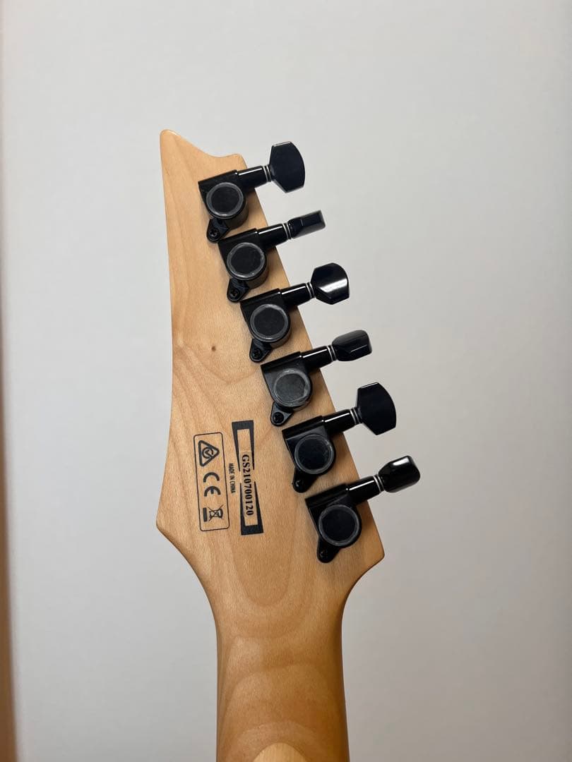 Ibanez RGV250ホワイト
