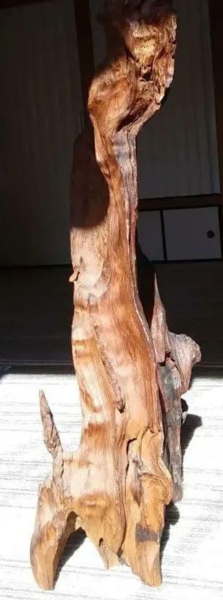 【貴重】屋久杉　原木　こぶ　オブジェ　置物　天然木
