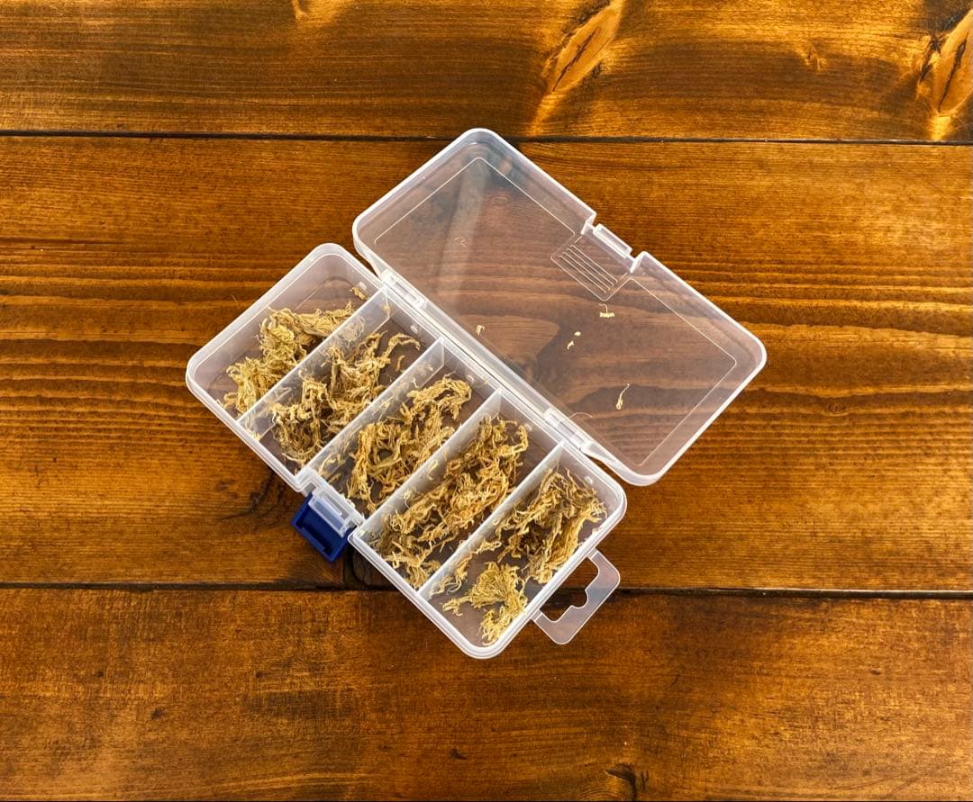 クワガタ採集セット　オレンジ　オリジナル掻き出し棒　デジタルノギス　採集ケース