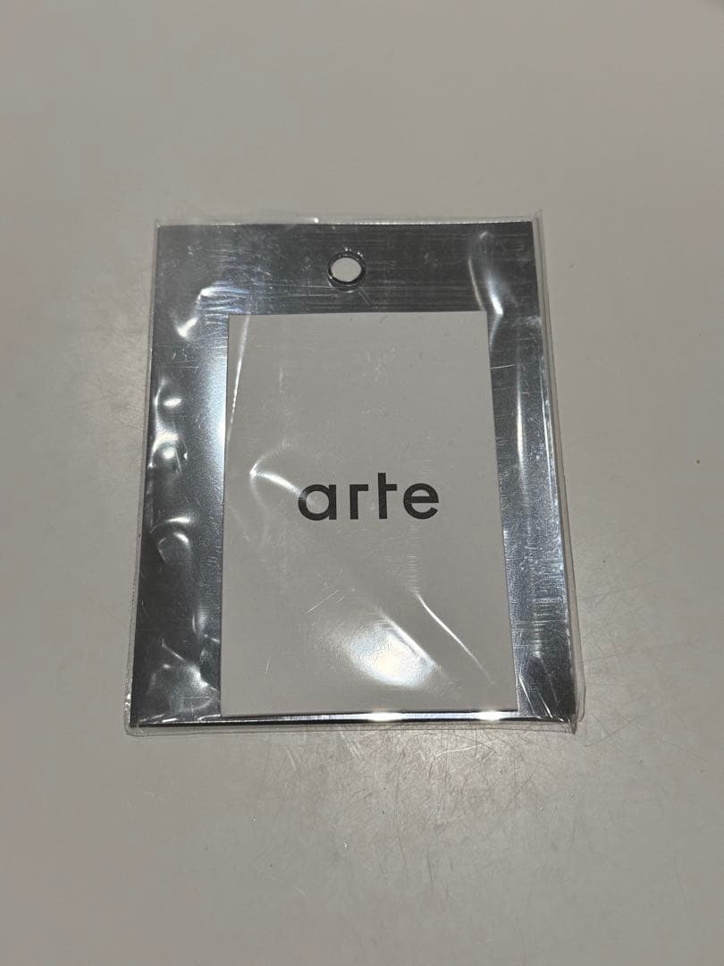 【Arte Antwerp】Big Shiny Bag