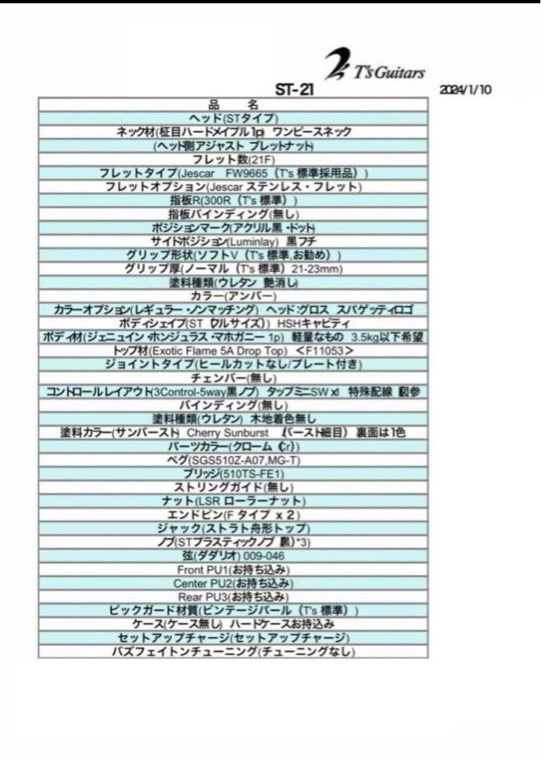 T's Guitars ティーズギターズ ストラトキャスター カスタムオーダー品