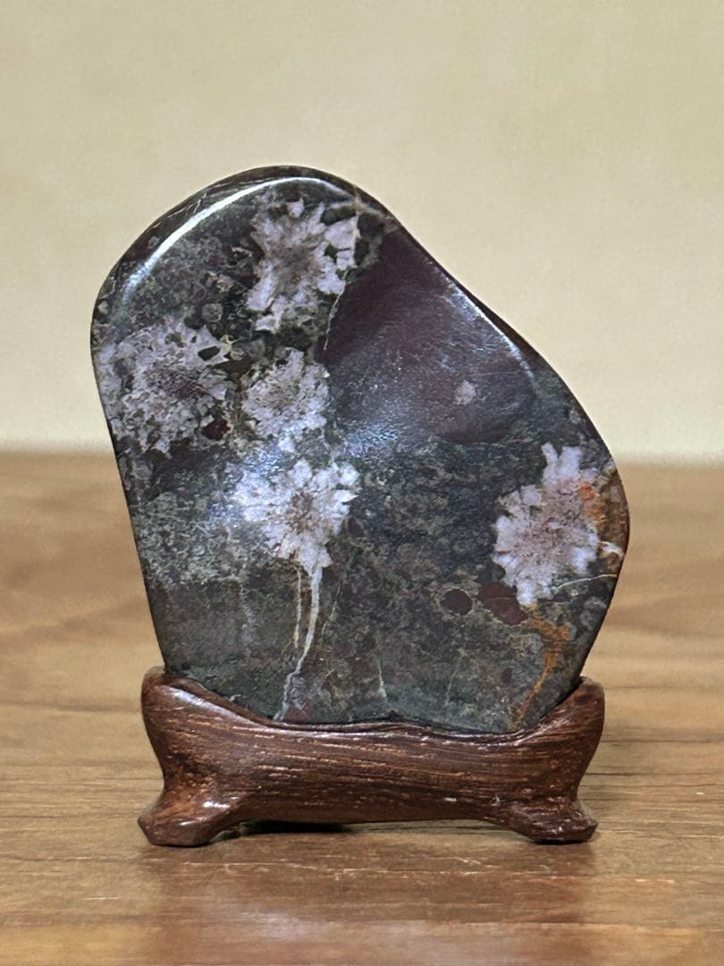 菊花石　菊紋石　根尾菊花石　飾石　天然石　水石　鑑賞石　自然石　原石　鉱物　置物