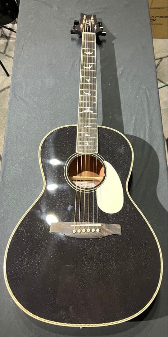 Paul reed smith P20E Doghair 美品