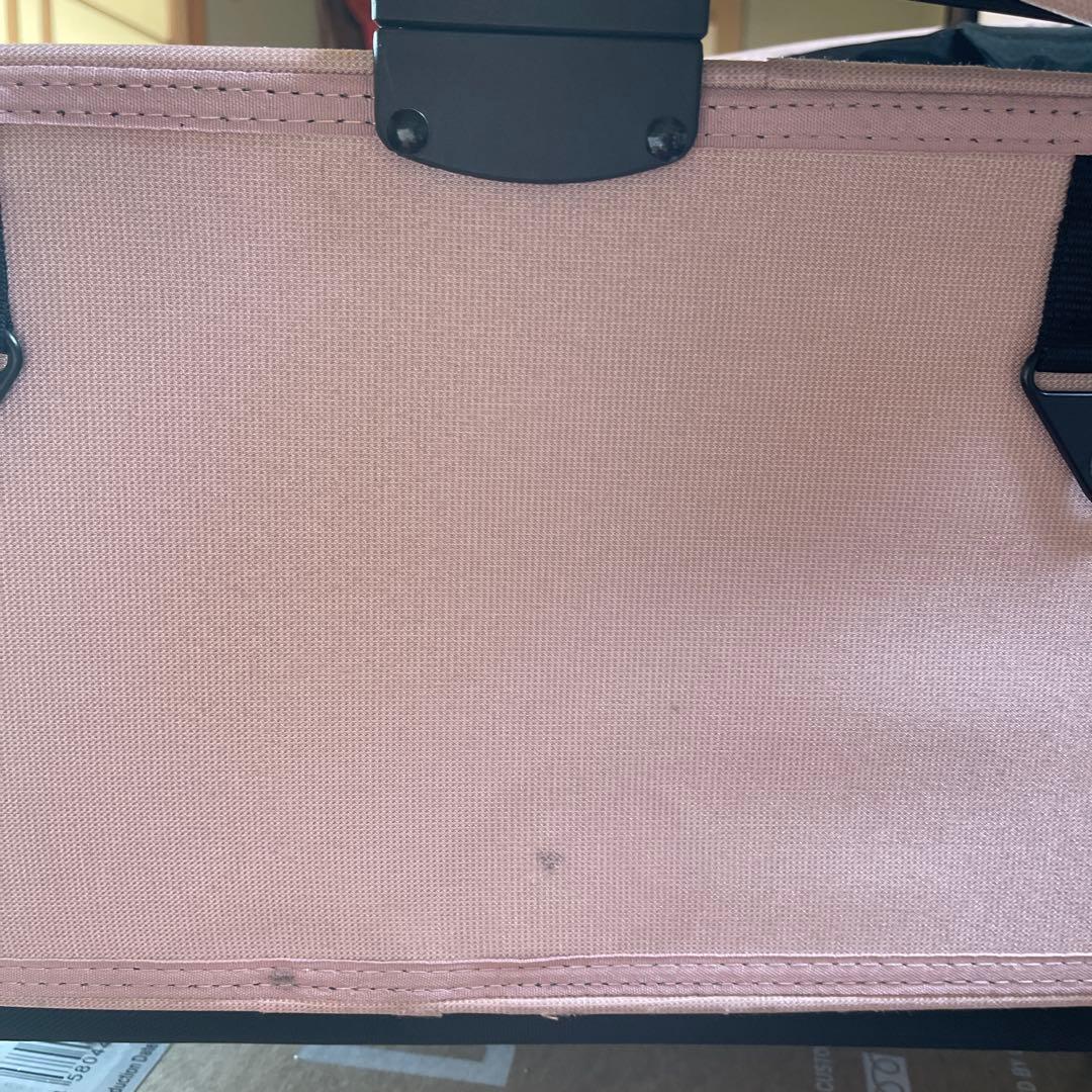 専用ご確認　AIRBUGGY ドーム3ラージ　ブロッサム　セット販売