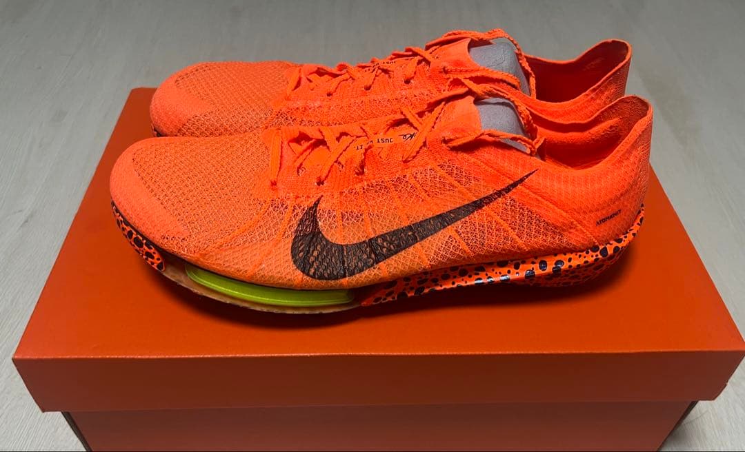 ナイキ ビクトリー 2 26.0