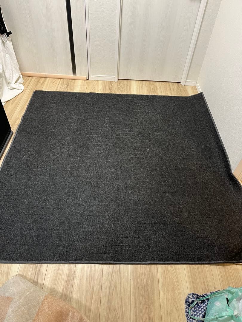 Panasonic 電気カーペット DC-2NKA