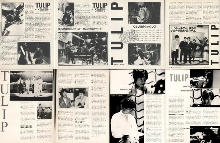TULIP チューリップ 財津和夫 雑誌 切り抜き 150P ◆ほぼ欠けなし