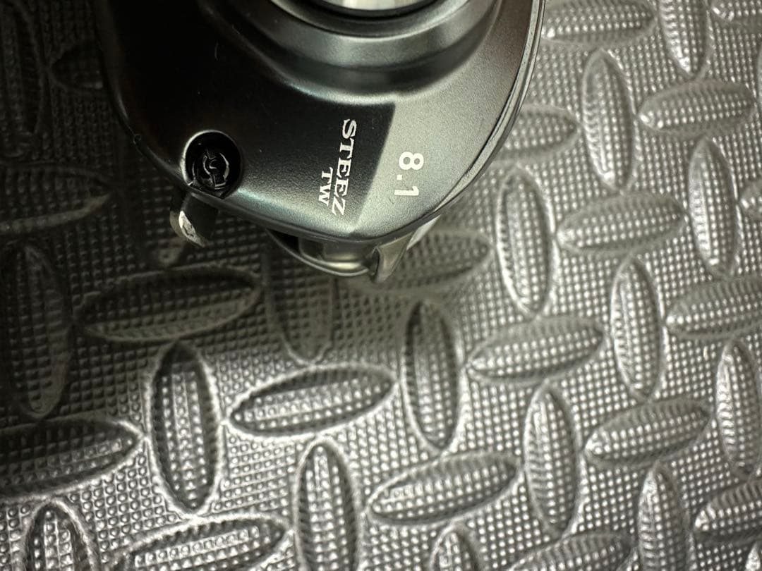 リール DAIWA STEEZ A TW 1016XHL