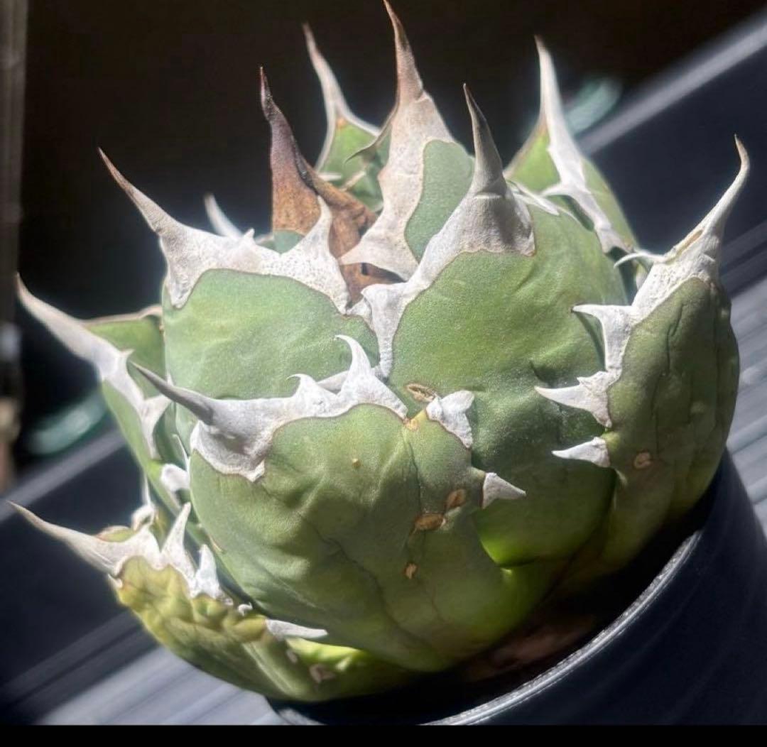 カメラ好きページ