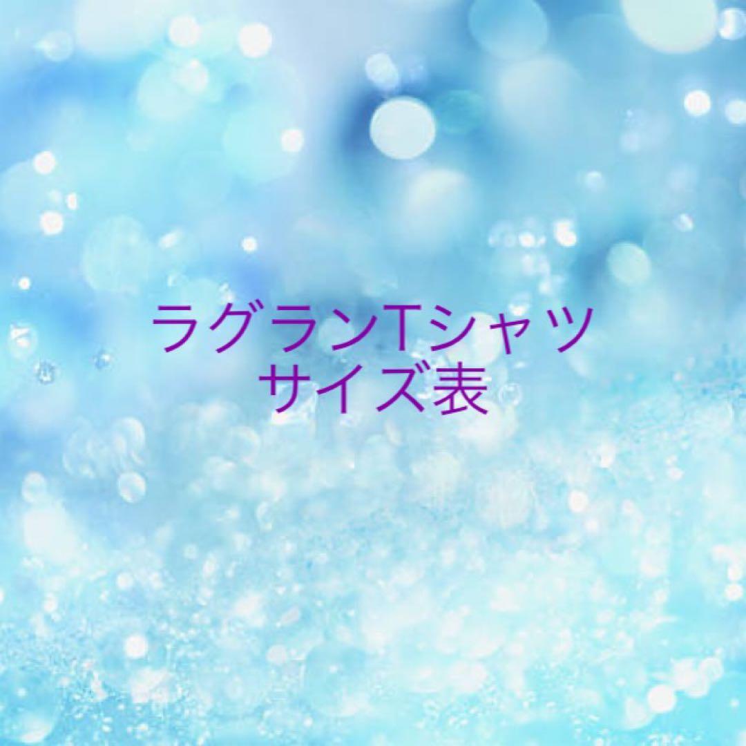 犬服.ラグランTシャツサイズ表確認用