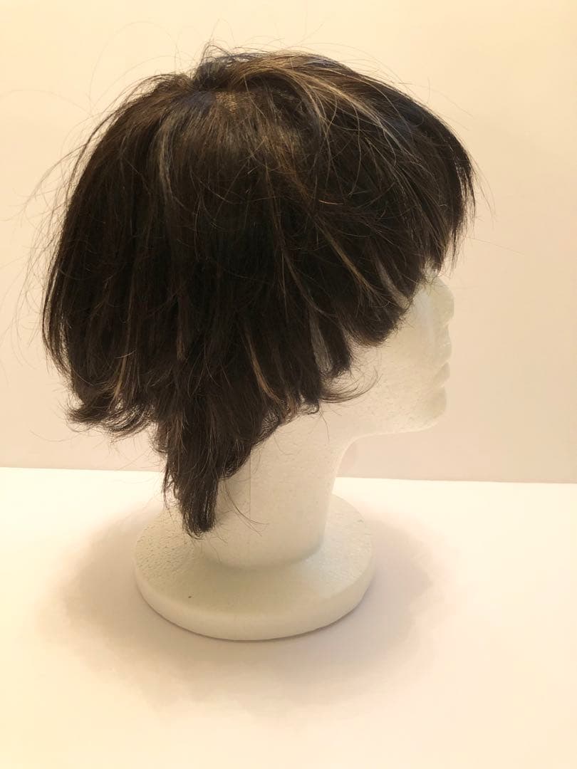 【未使用品】ナオアートウィッグ