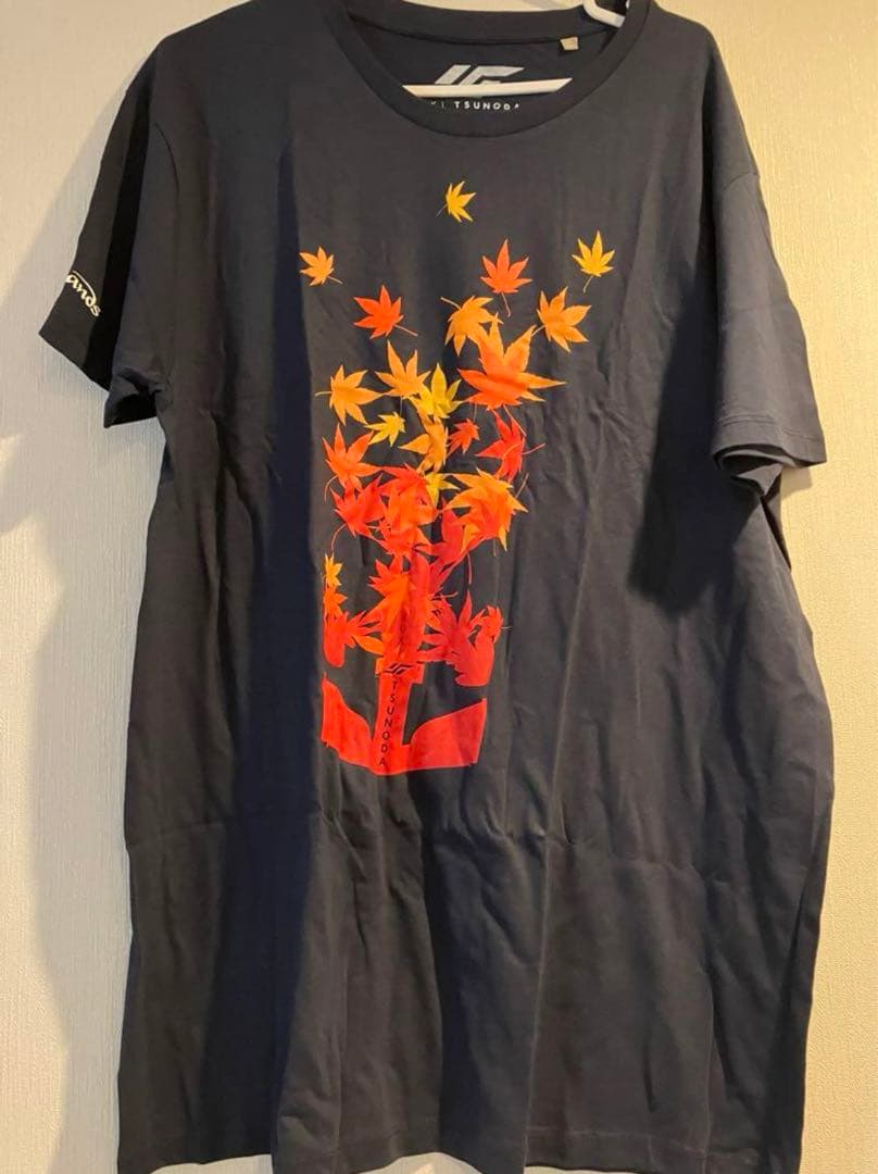 F1シンガポール　角田裕毅