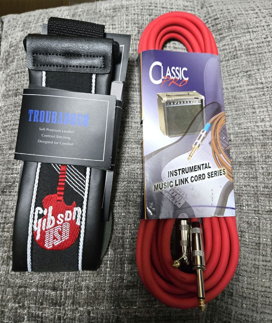 【美品】Epiphone SG Special GT（KillPot）／おまけ付