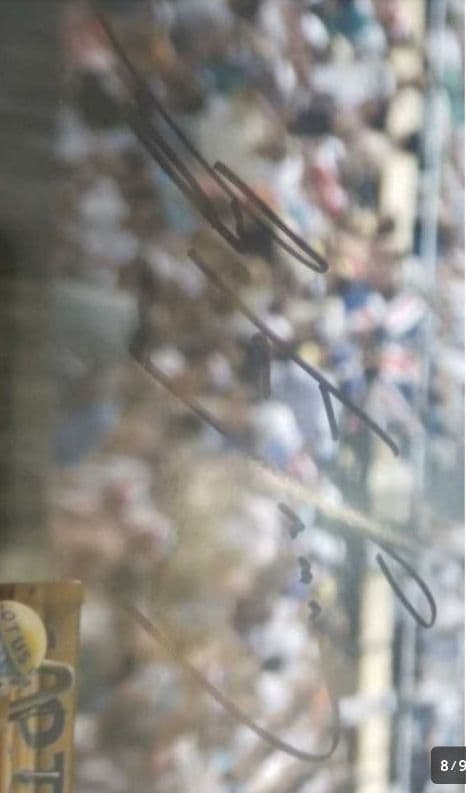 アイルトン・セナ　セナ　F1　直筆サイン　サイン　アイルトン・セナ・ダ・シルバ