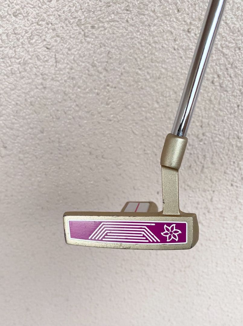 WORLD EAGLE ゴルフクラブセット 10本キャディバックレディース