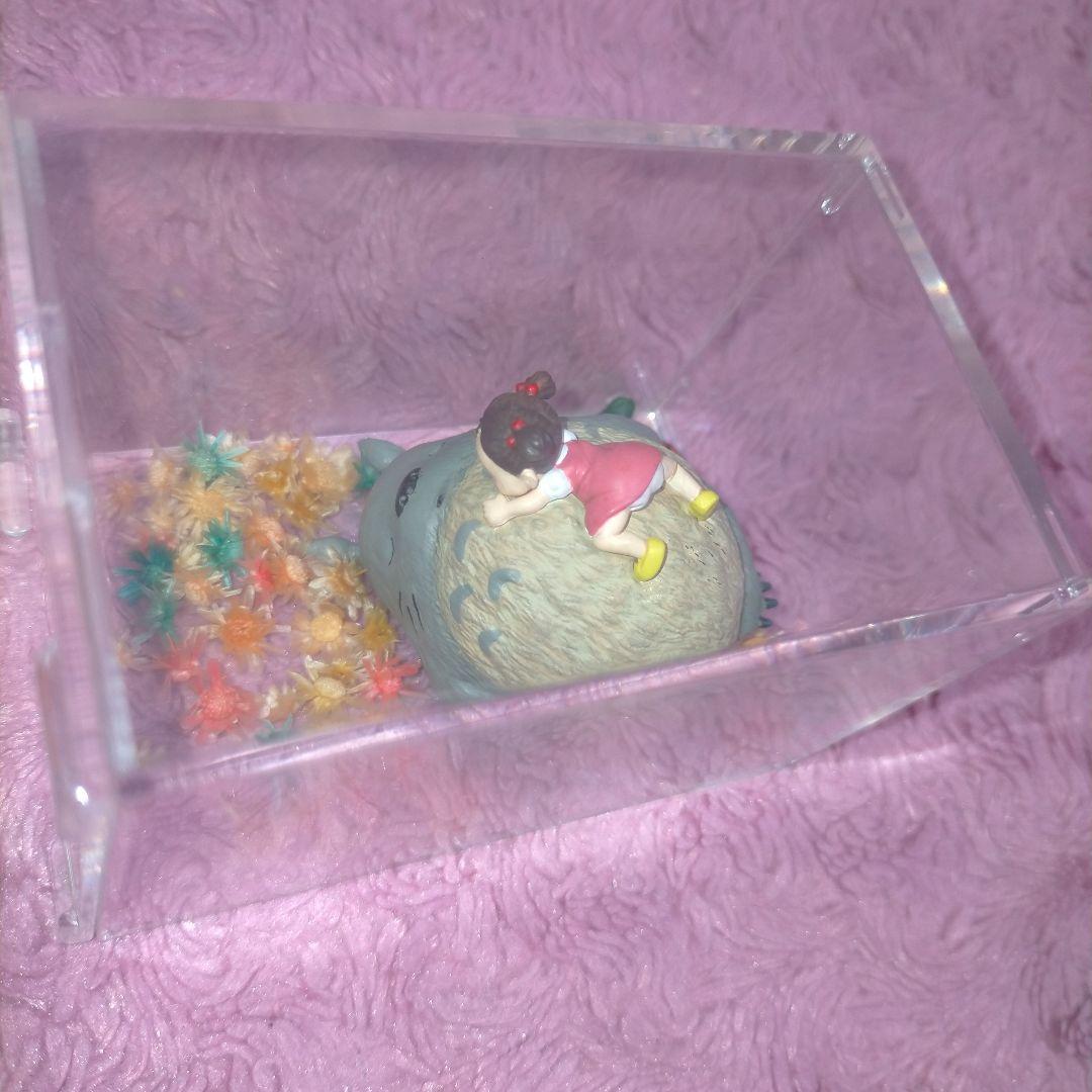 廃盤‼️となりのトトロ トトロ メイちゃん ミニチュアフィギュア 透明ケース付き