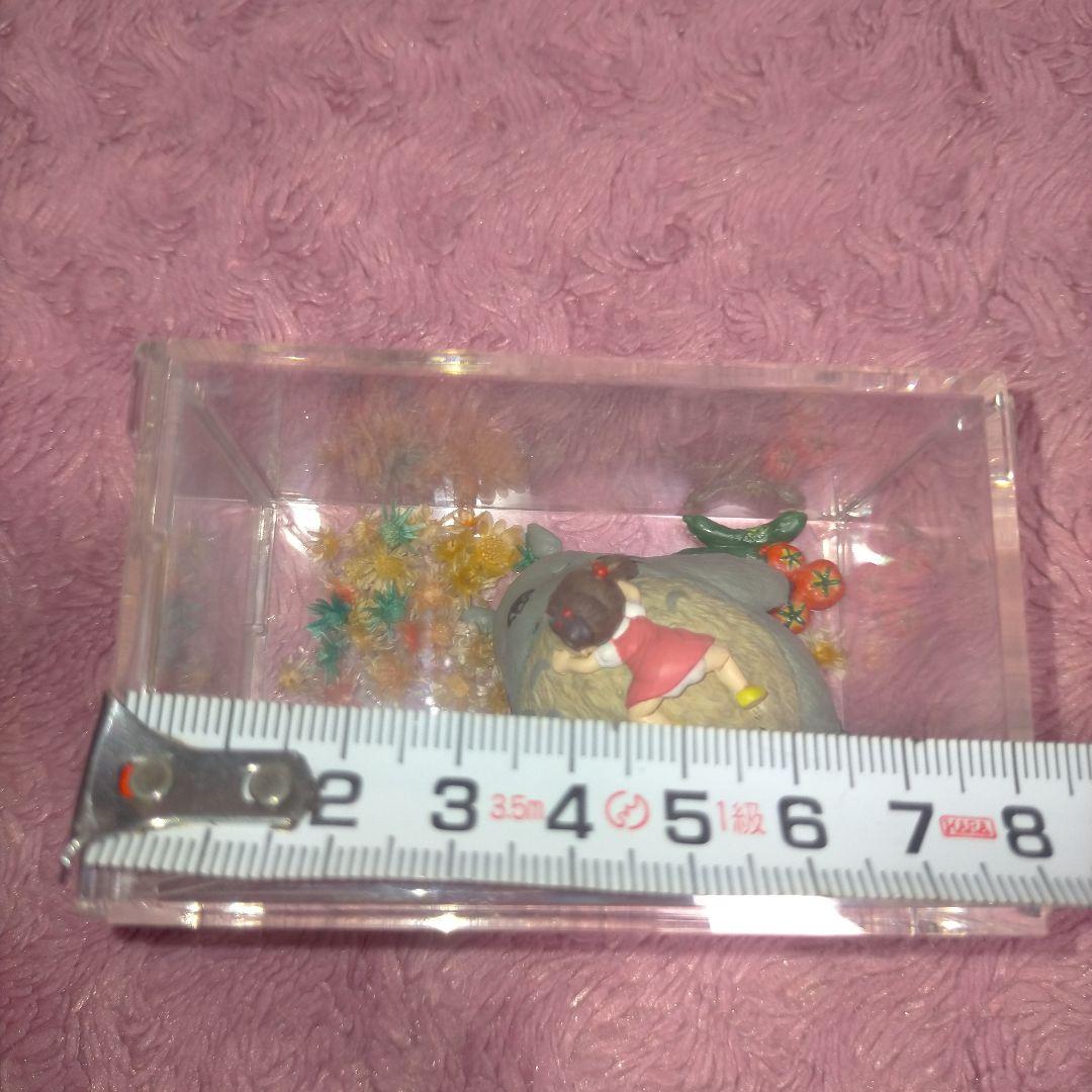 廃盤‼️となりのトトロ トトロ メイちゃん ミニチュアフィギュア 透明ケース付き