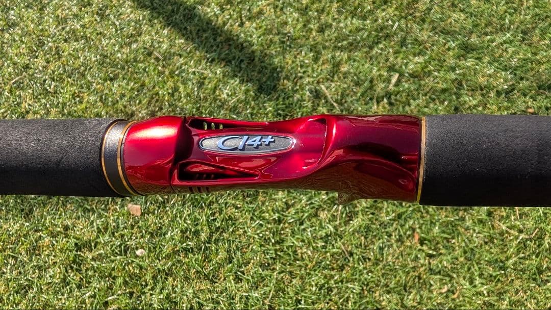 ワールドシャウラBG1954R-3