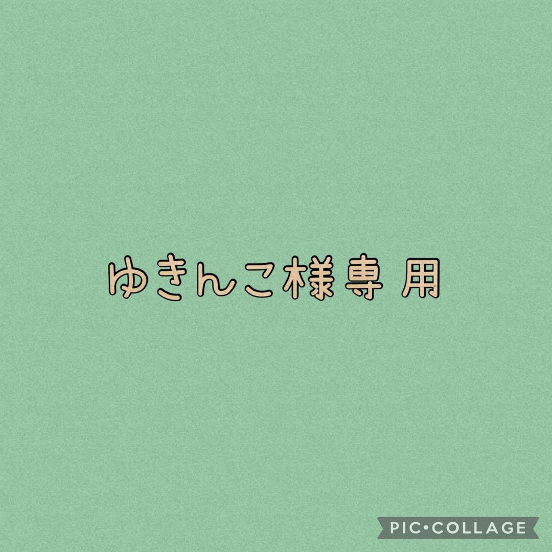 ゆきんこページ