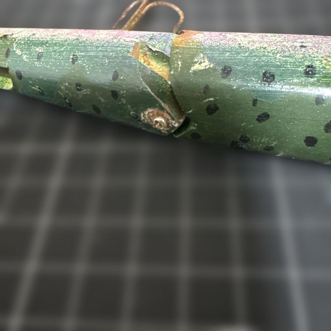 アランコール　ACプラグ ACミノー レインボートラウト